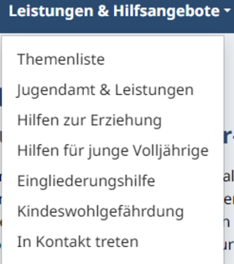 Menüpunkte unter Leistungen & Hilfsangebote